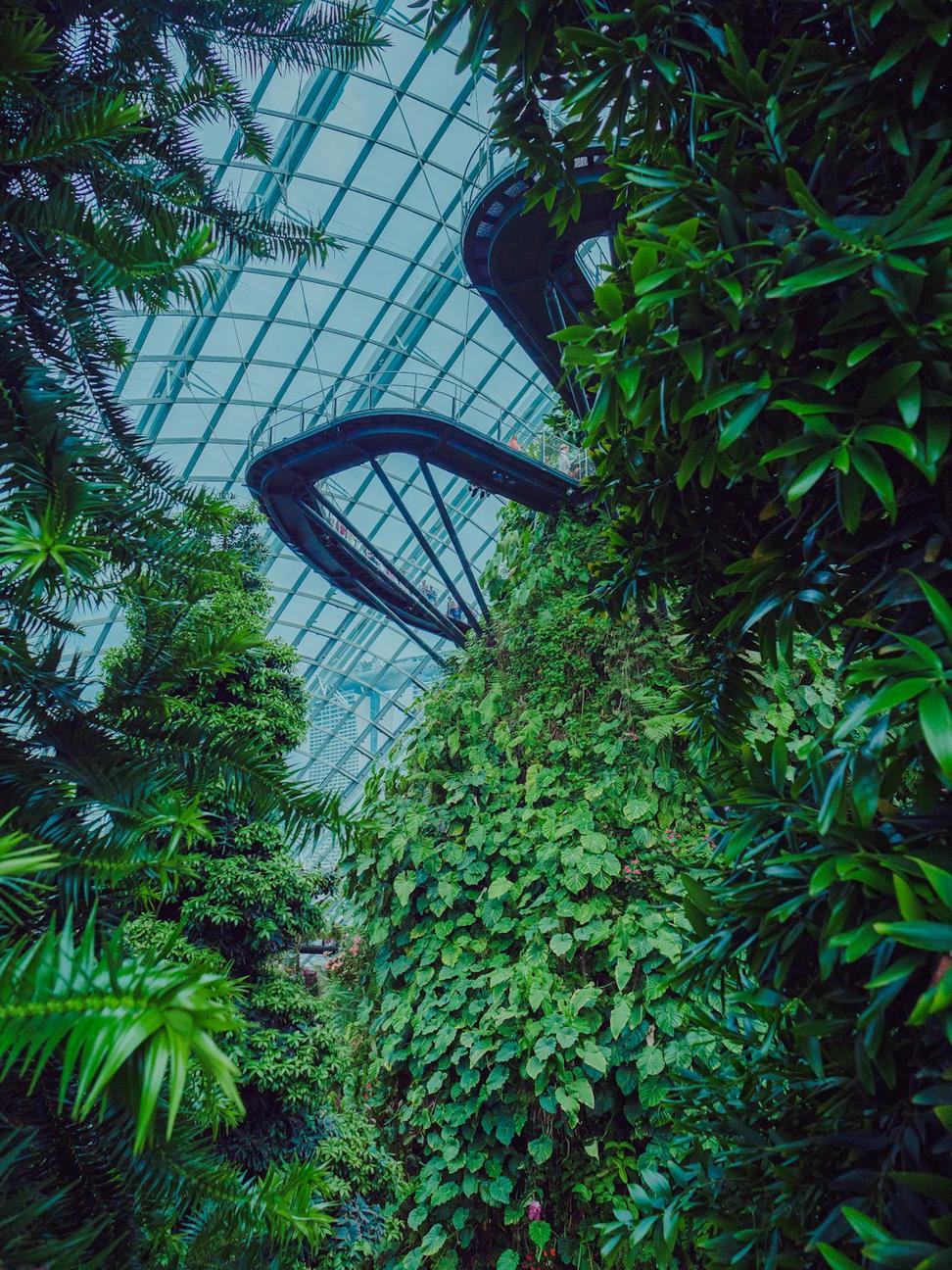 Sustainable architecture integration